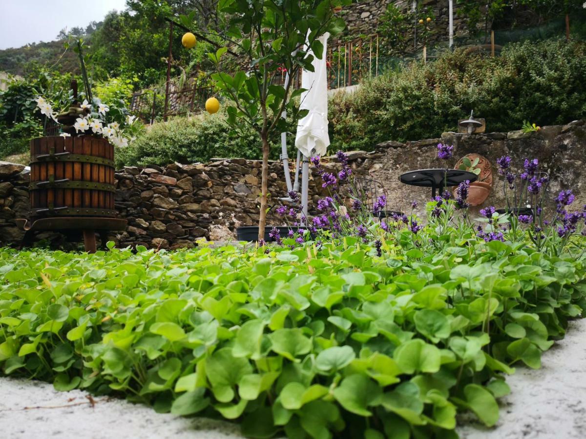 Il Giardino Di Riomaggiore Exterior foto